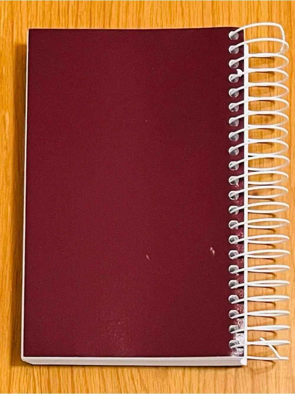 Songs & Hymns of Revival - Spiral Hymnal Burgundy (North Valley Pubns) BRAND NEW